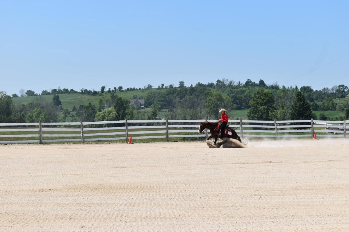 Rider on brown horse in sandy arena with white fence railing and tree-lined background