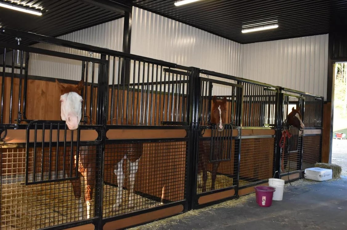 Horse stalls with metal and wood gates in a modern indoor stable facility with fluorescent lighting